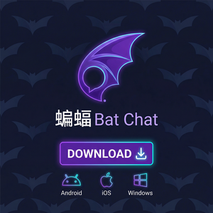 蝙蝠聊天 - 蝙蝠聊天软件隐私保护最佳实践